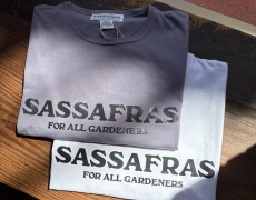 SASSAFRAS SASSAFRAS T 1/2 / Think Heavy Duty T 1/2